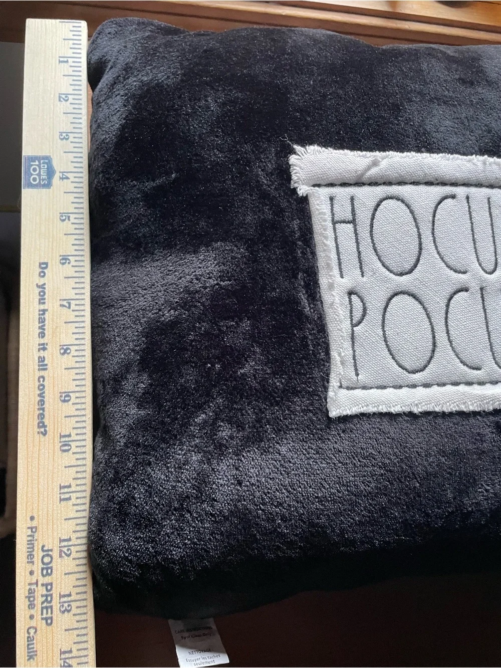 Rae Dunn Hocus Pocus Halloween Down Filled Throw Accent Pillow 13